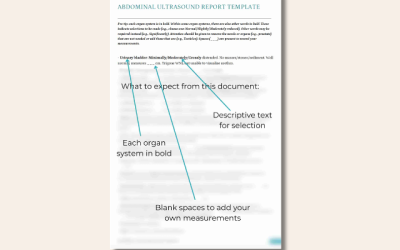 How Important are Ultrasound Reports in Veterinary Ultrasound?